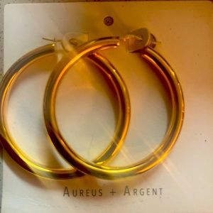 Banana Republic Aureus Agent Gold Earrings